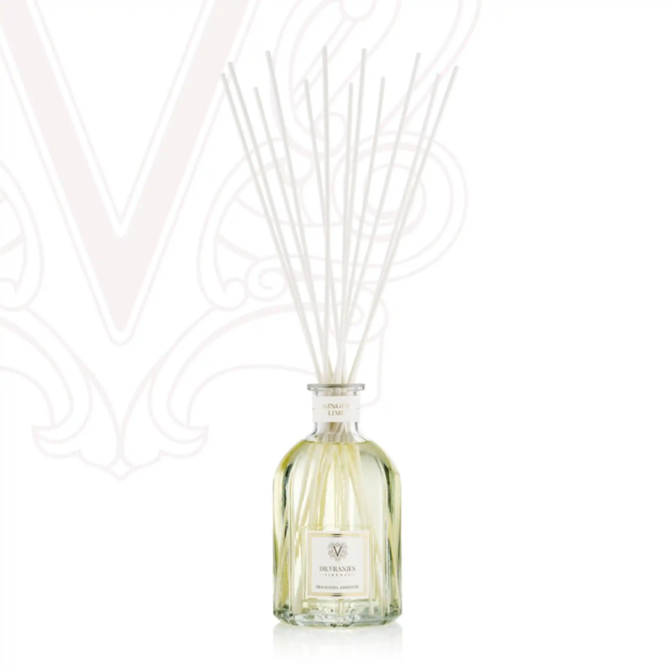 GINGER LIME 〈ジンジャー・ライム〉